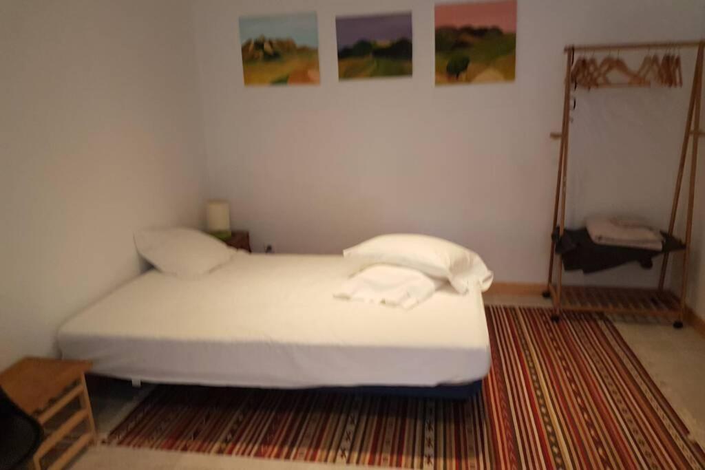Maison Marijke Garden Studio Céret Exterior photo